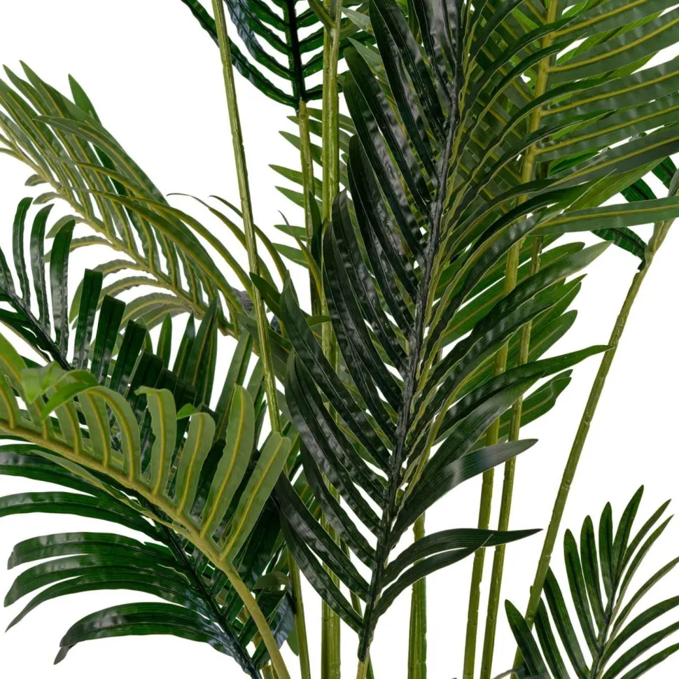 Tekokasvi House Nordic Puistokultapalmu Areca Palm, 175cm, vihreä