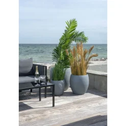 Tekokasvi House Nordic Puistokultapalmu Areca Palm, 175cm, vihreä