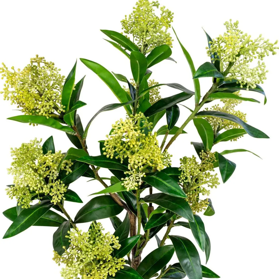 Tekokasvi House Nordic Skimmia, 75cm, vihreä