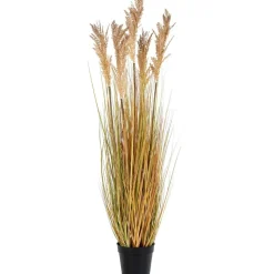 Tekokasvi House Nordic Sudaninruoho Sorghum Grass, 110cm, ruskea