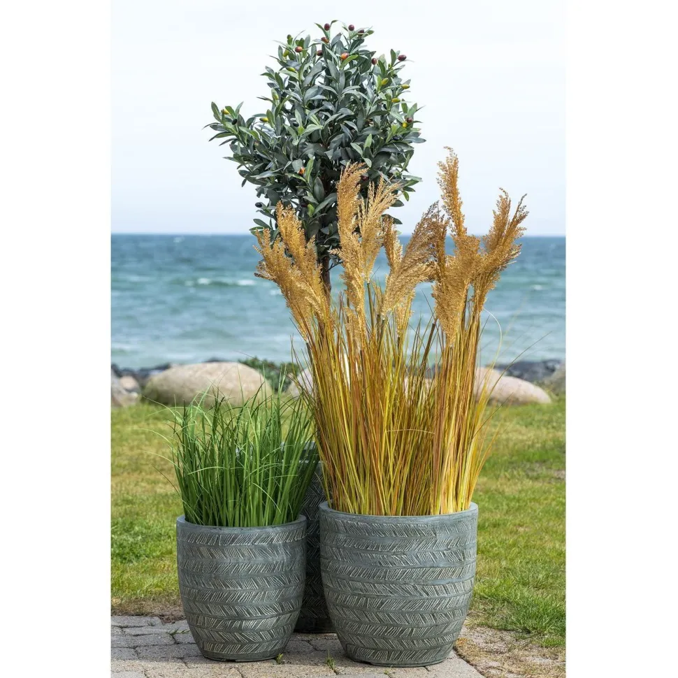 Tekokasvi House Nordic Sudaninruoho Sorghum Grass, 110cm, ruskea