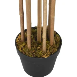 Tekokasvi bambupuu, 500 lehteä, 80 cm