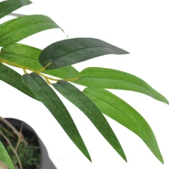Tekokasvi bambu "twiggy" ruukussa 90 cm