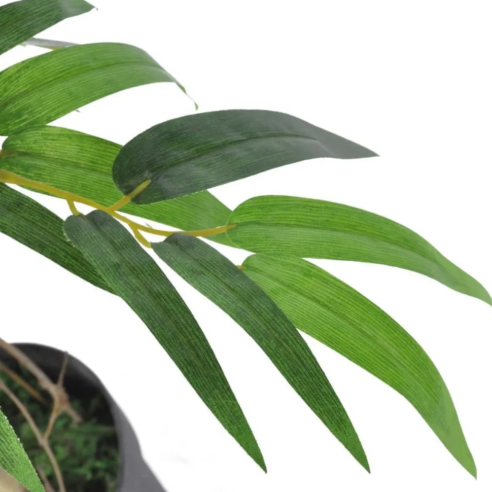 Tekokasvi bambu "twiggy" ruukussa 90 cm