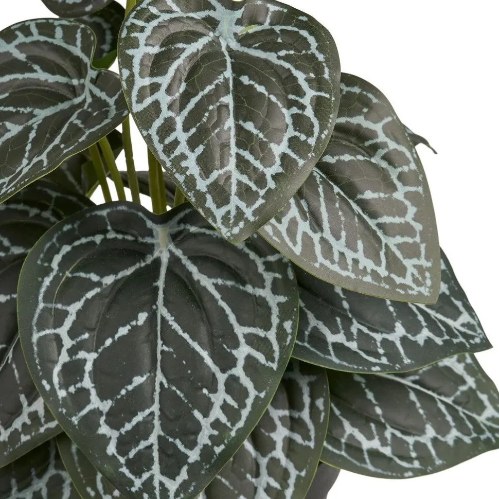 Tekokasvi House Nordic Alocasia, 33cm, vihreä