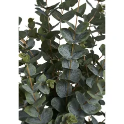 Tekokasvi House Nordic Eukalyptuspuu, 120cm, vihreä