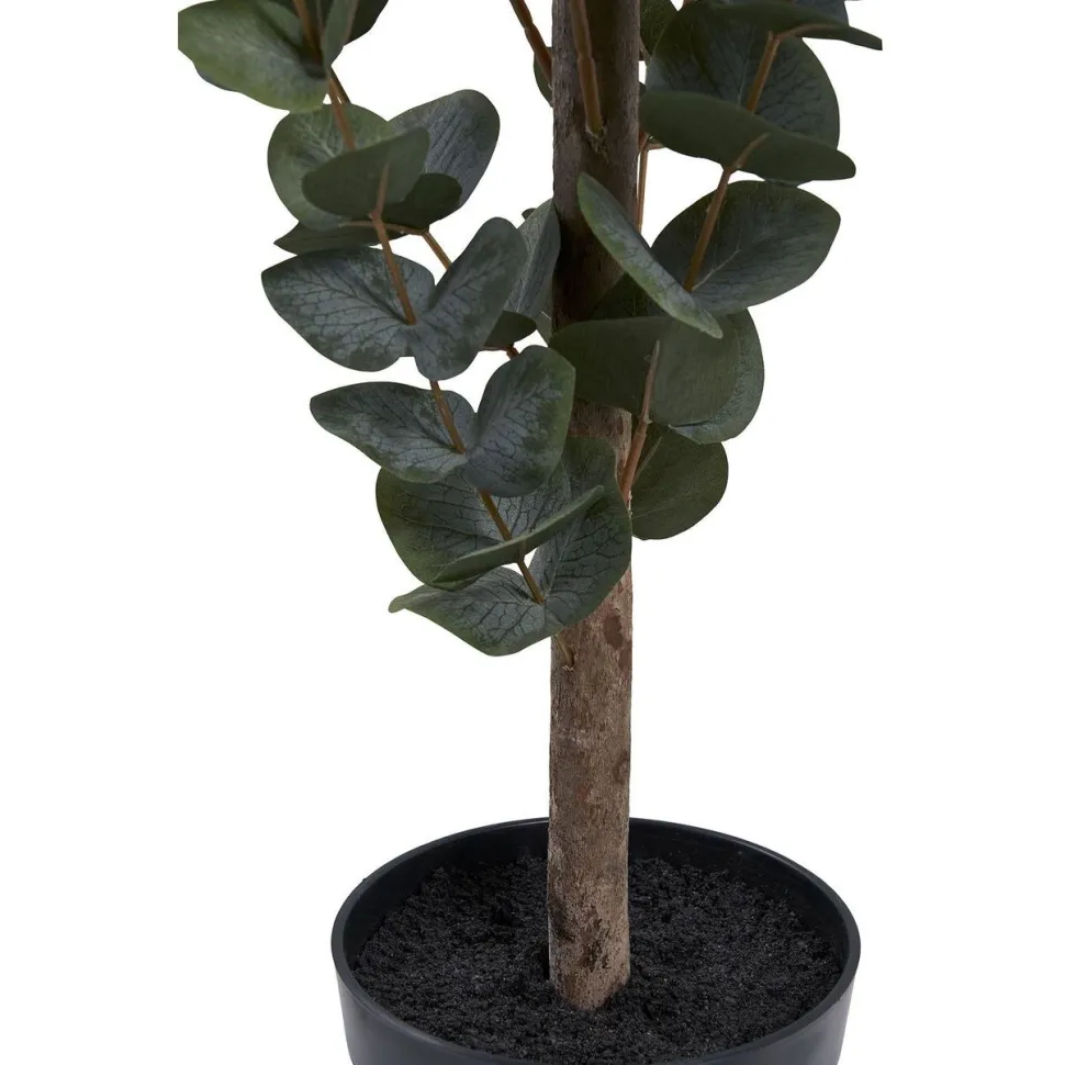 Tekokasvi House Nordic Eukalyptuspuu, 120cm, vihreä