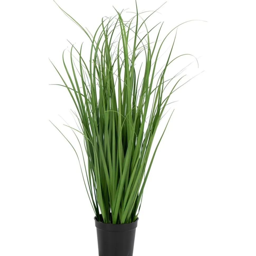 Tekokasvi House Nordic Poa-koristeheinä, 68cm, vihreä