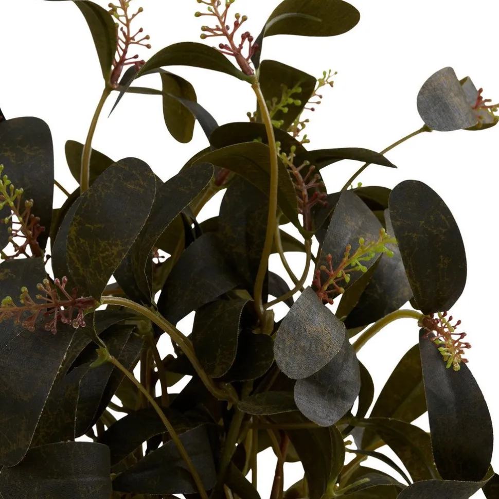 Tekokasvi House Nordic Skimmia, 35cm, vihreä