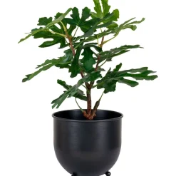 Tekokasvi House Nordic Viikunapuu, 60cm, vihreä