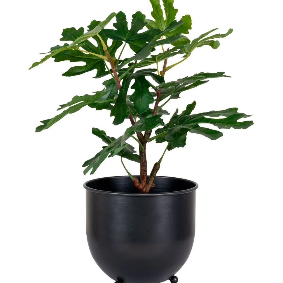 Tekokasvi House Nordic Viikunapuu, 60cm, vihreä