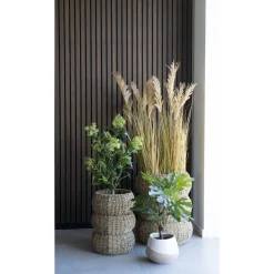 Tekokasvi House Nordic Viikunapuu, 60cm, vihreä