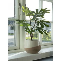 Tekokasvi House Nordic Viikunapuu, 60cm, vihreä