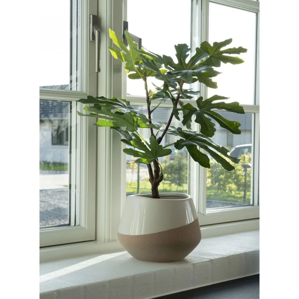 Tekokasvi House Nordic Viikunapuu, 60cm, vihreä