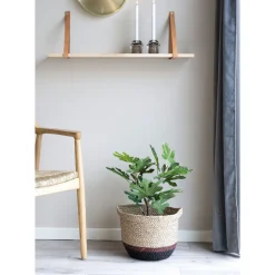 Tekokasvi House Nordic Viikunapuu, 60cm, vihreä