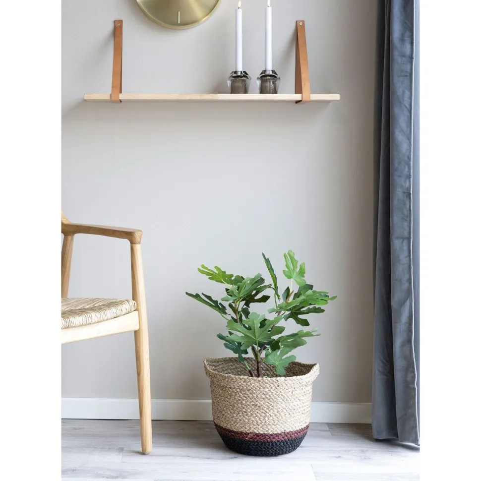 Tekokasvi House Nordic Viikunapuu, 60cm, vihreä