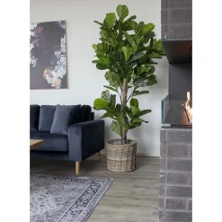 Tekokasvi House Nordic Viulufiikus, vihreä