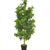 Tekokasvi laakeripuu ruukulla vihreä 120cm