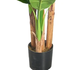 Tekokasvi Lykke Banana Tree, 170cm