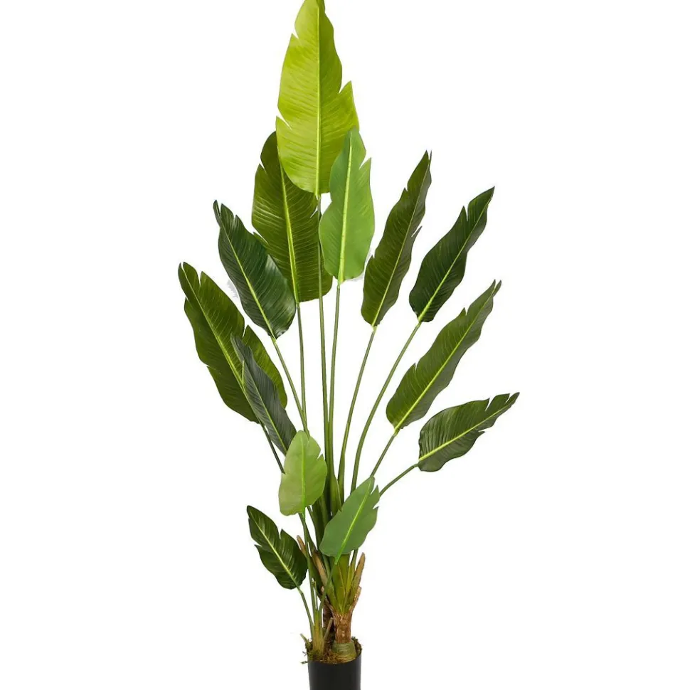 Tekokasvi Lykke Bird of Paradise, 200cm