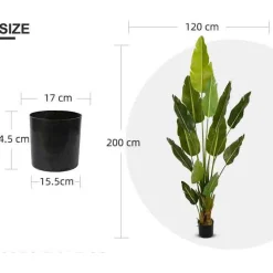 Tekokasvi Lykke Bird of Paradise, 200cm