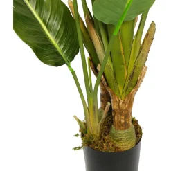 Tekokasvi Lykke Bird of Paradise, 200cm
