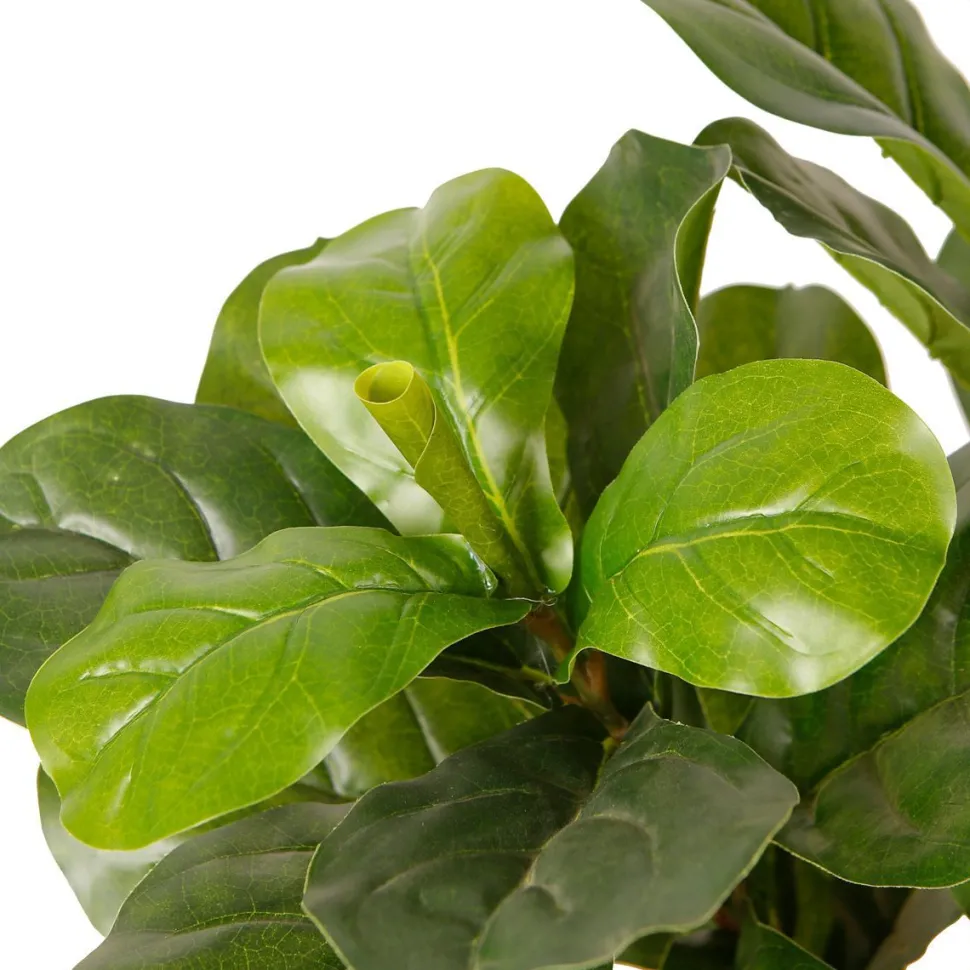Tekokasvi Lykke Fiddle-Leaf Fig, 85cm
