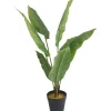 Tekokasvi Lykke Peace Lily, 105cm