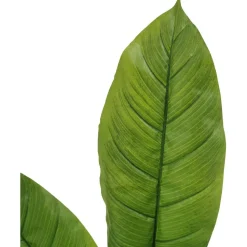 Tekokasvi Lykke Peace Lily, 105cm