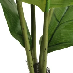 Tekokasvi Lykke Peace Lily, 105cm