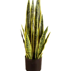 Tekokasvi Lykke Snake Plant, 65cm