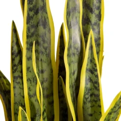 Tekokasvi Lykke Snake Plant, 65cm