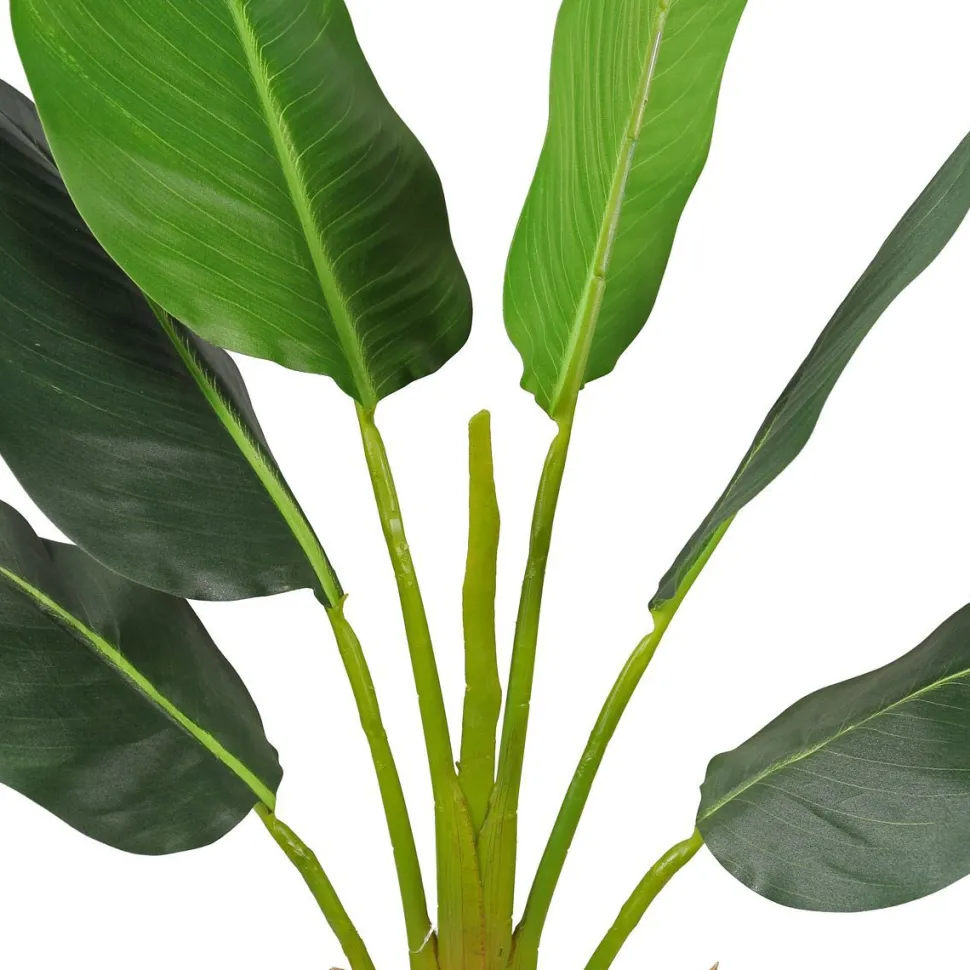 Tekokasvi Lykke Strelitzia Tree, 90cm