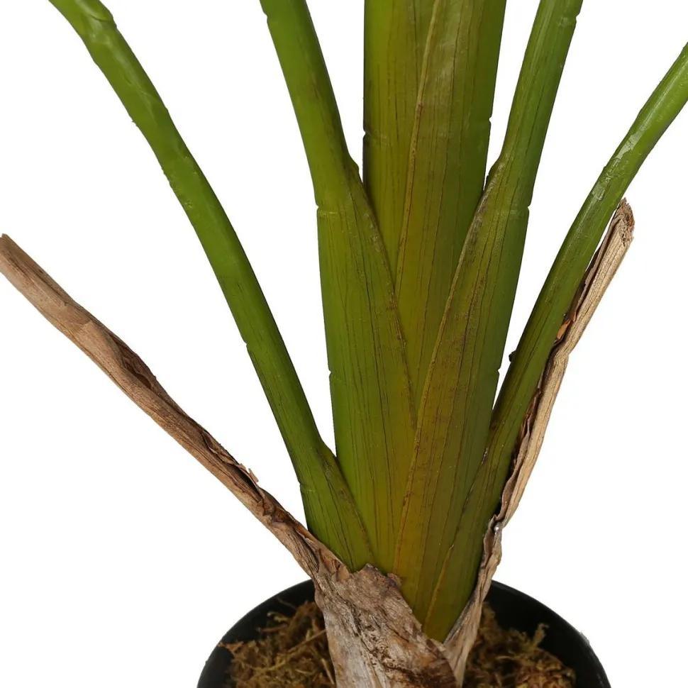Tekokasvi Lykke Strelitzia Tree, 90cm
