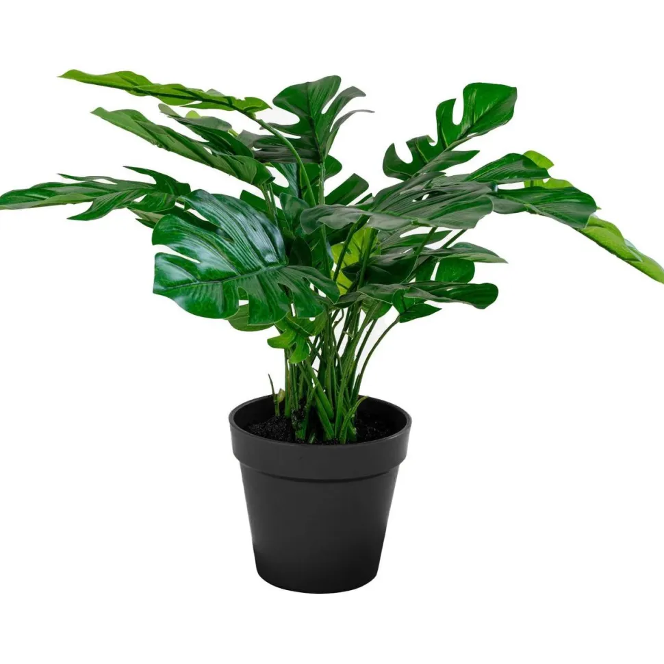 Tekokasvi peikonlehti House Nordic Monstera, vihreä