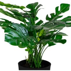 Tekokasvi peikonlehti House Nordic Monstera, vihreä