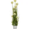 Tekokukka Home4You IN GARDEN K120 cm, valkoinen hyasintti, ruohokasvi ruukulla
