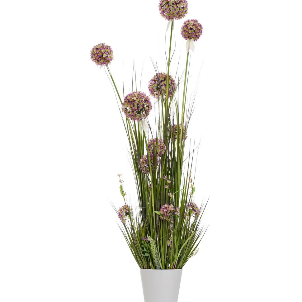 Tekokukka Home4You IN GARDEN K120 cm, violetti allium, ruohokasvi ruukulla
