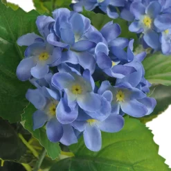 Tekokukka ruukulla hortensia 60 cm sininen