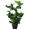 Tekokukka ruukulla hortensia 60 cm valkoinen