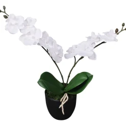 Tekokukka ruukulla orkidea 30 cm valkoinen