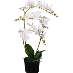 Tekokukka ruukulla orkidea 65 cm valkoinen