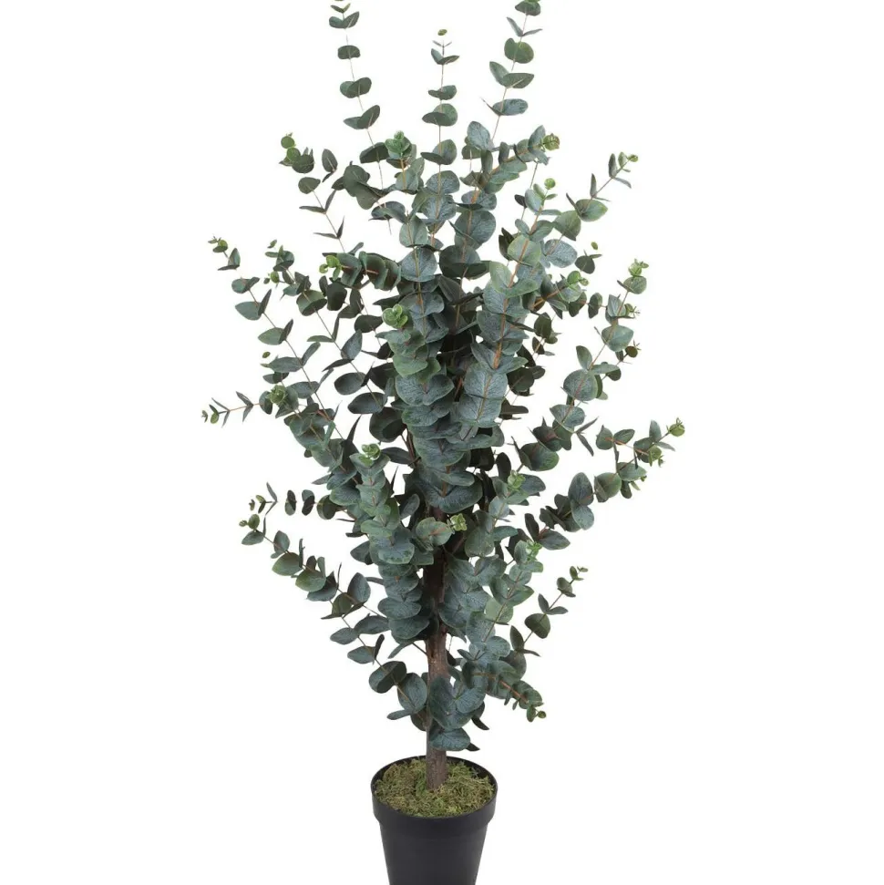 Tekopuu Home4You WIND EUCALYPTUS K120 cm, vihreä