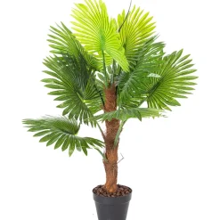 Tekopuu Home4You WIND FAN PALM K100 cm, vihreä