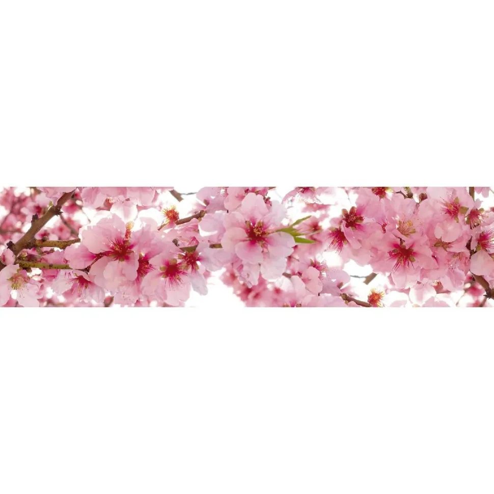Välitilatarra Dimex Apple Blossom 180x60cm
