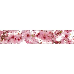 Välitilatarra Dimex Apple Blossom 180x60cm