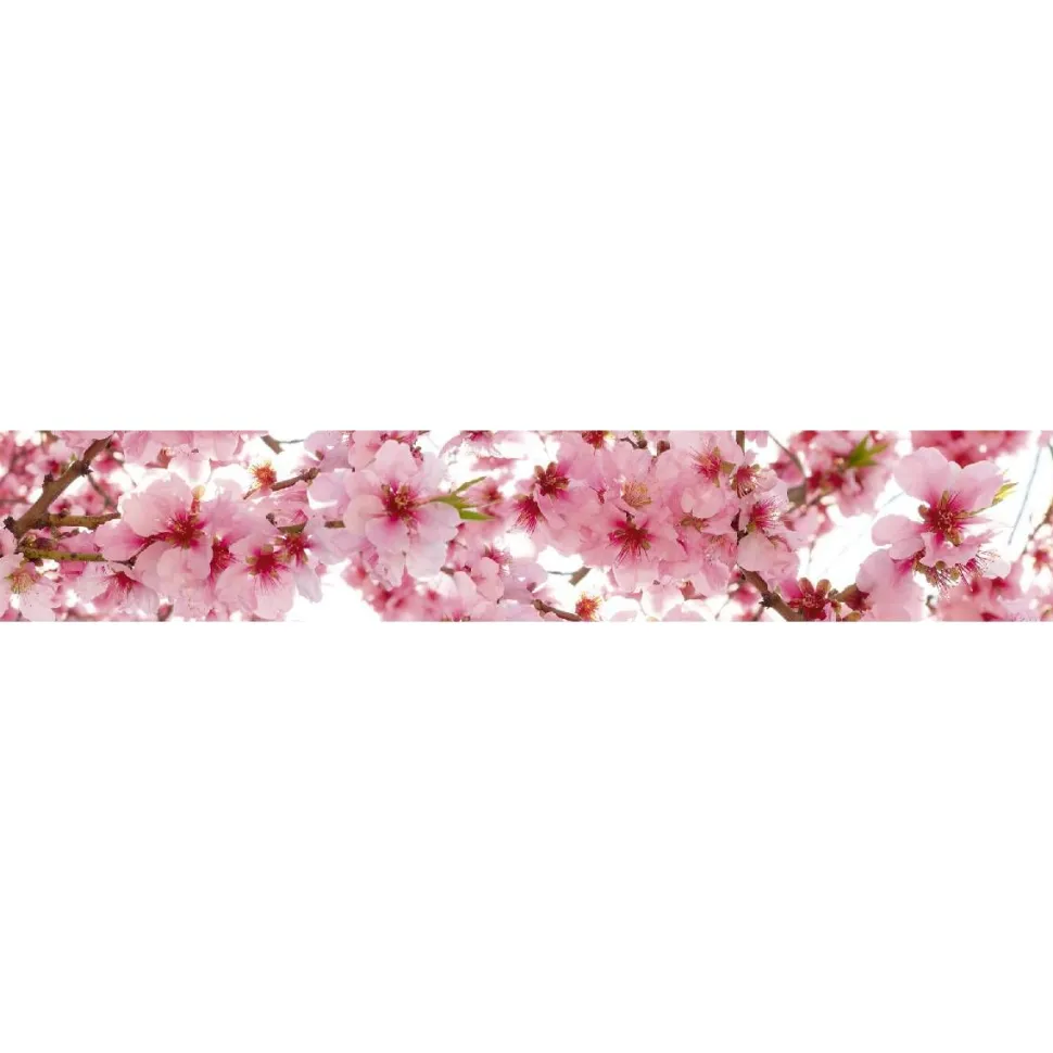 Välitilatarra Dimex Apple Blossom 180x60cm