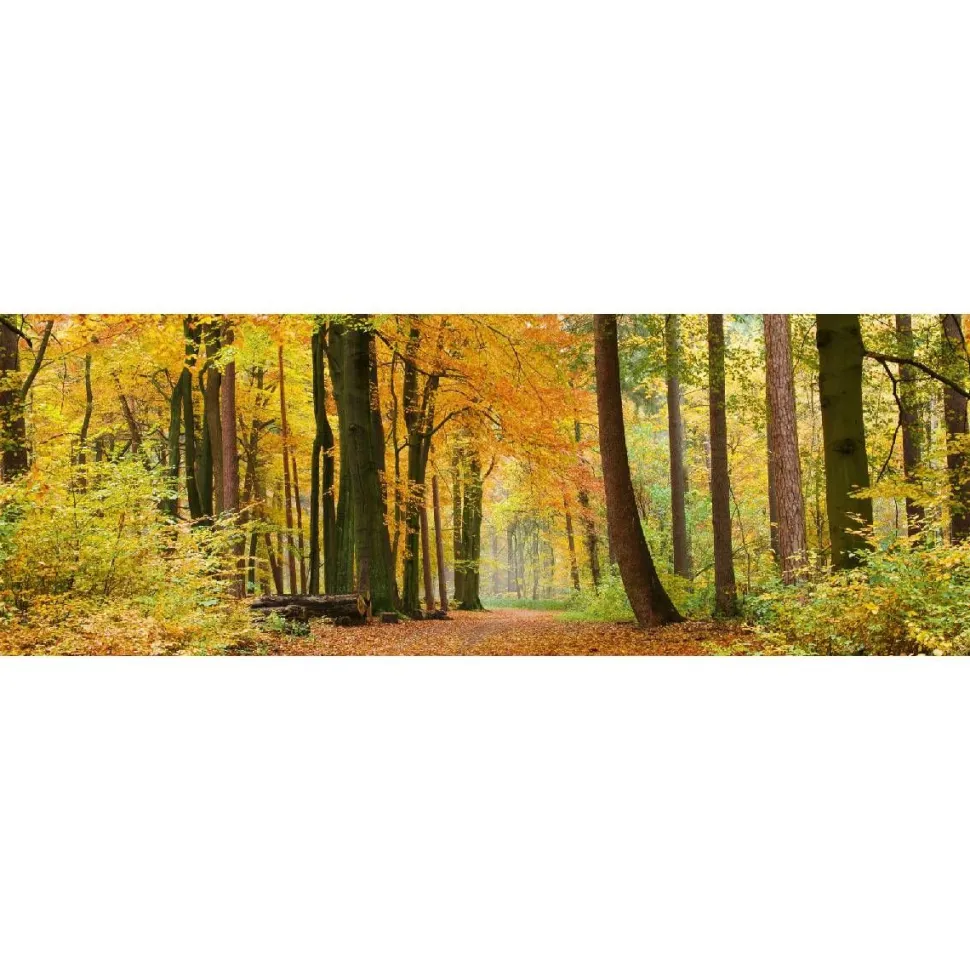 Välitilatarra Dimex Autumn Forest 180x60cm