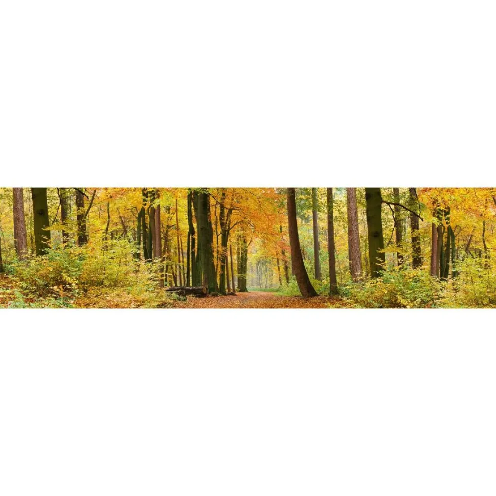 Välitilatarra Dimex Autumn Forest 180x60cm