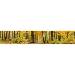 Välitilatarra Dimex Autumn Forest 180x60cm